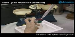 Tissue Lysate Preparation (Denatured)
