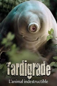 Tardigrade, l'animal indestructible - Movie