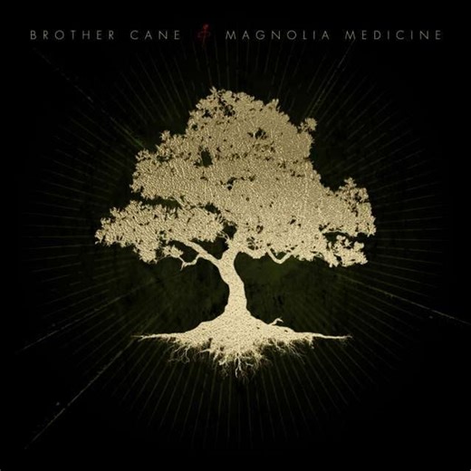 Magnolia Medicine