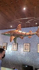 Where are we?? | Yusuf Estes