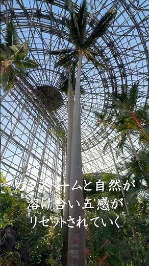 夢の島熱帯植物館を紹介！