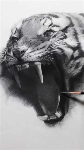 Graphite Drawing Art Gallery on Instagram: "drawing by @monochrome_h #graphite #graphitedrawings #pencildrawing #pencilsketch"