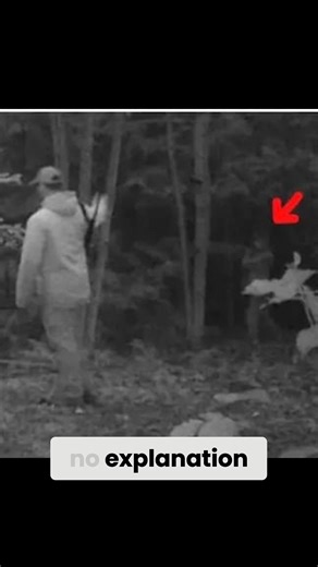 287K views · 3.4K reactions | A person discovers a mysterious silhouette in trail camera footage of their brother in the forest and seeks theories about it.#ghostlysightings #hauntings #ghostphoto | Disbelief Paranormal Official | Facebook
