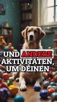 Effektive Methoden,um dem Hund das Bellen abzugewöhnen!Schritt für Schritt #hundewissen #hundefakten