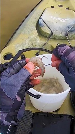 Common Shrimp Rigging MISTAKES (And How To Fix Them!)