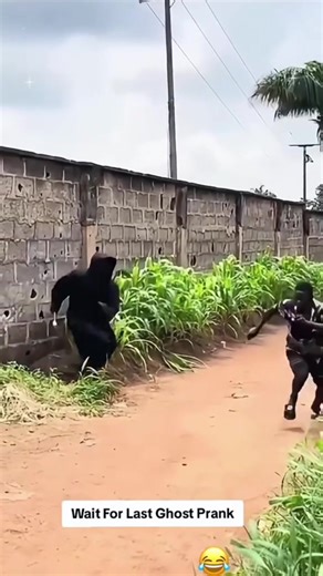 Bushman Prank: Hilarious Scare Moments