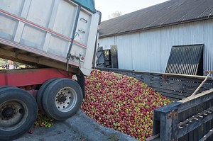 This Distillery Has Been Making Killer Apple Brandy Since Before America Was a Country