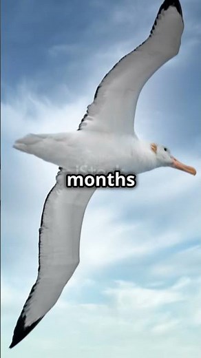 Top 5 Amazing Facts That Will Blow Your Mind!