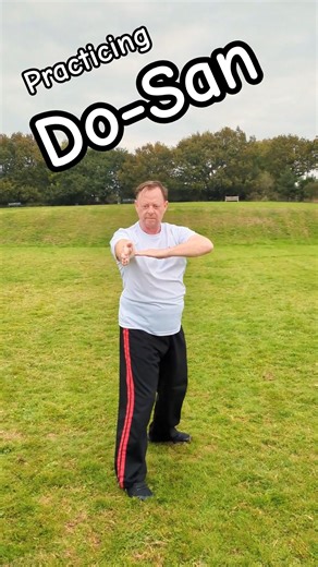 Practicing Do -San #taekwondo