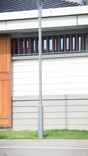 Gallant Horse Riding: Beautiful Equestrian Moments