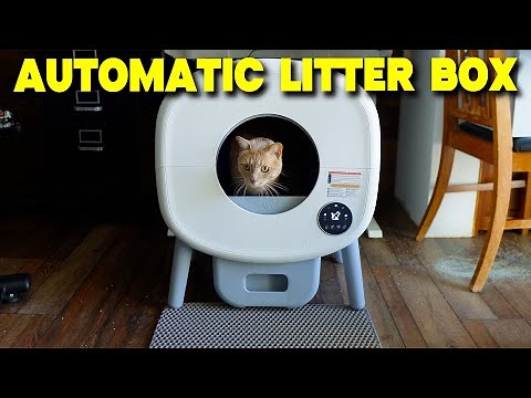 Testing Out This Self Cleaning Automatic Cat Litter Box