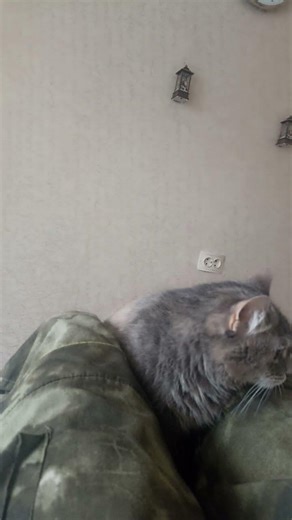 7 марта 2026 г.