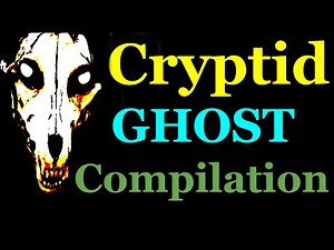 Cryptid and Ghost Compilation