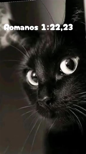 Testimonios Cristianos y El Poder de La Biblia