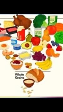 New Food Pyramid