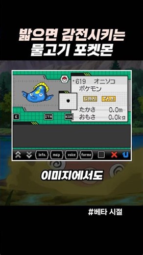 밟으면 감전시키는 물고기 포켓몬