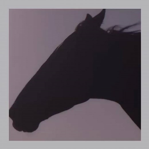 Discover a tale of trust and heart. #BlackBeautyMovie, starring Mackenzie Foy and featuring Academy Award-winner Kate Winslet as the voice of Beauty, is now streaming on #DisneyPlus. | Walt Disney Studios