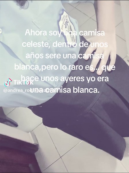 Recuerdos del uniforme escolar: Camisas Celeste y Blancas