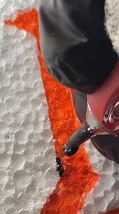 149K views · 585 reactions | Tatto letter #lettering #tatto #letters #3rl #ink #tattooart #tattooideas #tatuaje | DR.DCR | Facebook