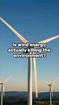 Is Wind Energy Actually Killing The Environment? - TheEnergyBrief