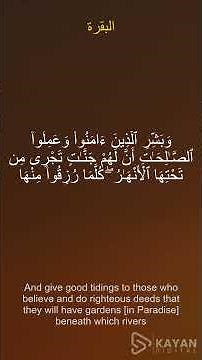 تلاوة جميلة ورائعة #quran #اكسبلور #holyquran #alafasy #live