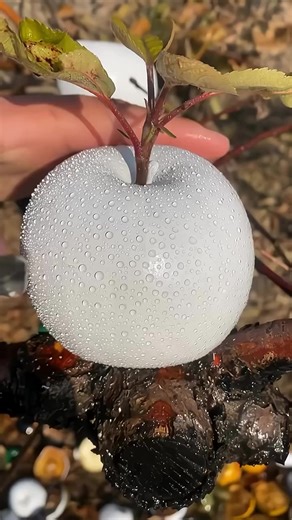 122K views · 3.7K reactions | Affirm YES ✨ #affirmation #affirmations #affirmationoftheday #manifestation #manifestationmagic #manifestationdreams #manifestyourdreams #manifestationmiracle #manifestationmantras #manifestingmoney #manifestingdreams #positivethoughts #positiveenergy #positivemindset #positivevibesonly #wealthcreation #attractmoney #lawofattractionmoney #lawofattraction #buddha #sprituality #awakening #usa #newyork #losangeles | Spirituality Positive | Facebook