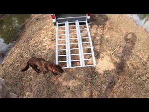 THE BEST ATV TRUCK BED RAMP - Harbor Freight HaulMaster Trifold Aluminum ATV/Motorcycle Ramp Review