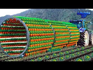 BEGINILAH JUTAAN TANAMAN DIPANEN Setiap Hari, Teknologi Pertanian KREATIF Modern & Canggih Di Dunia