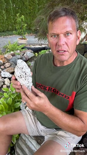 Identifying Strange Rocks: A Fossil or Geode?