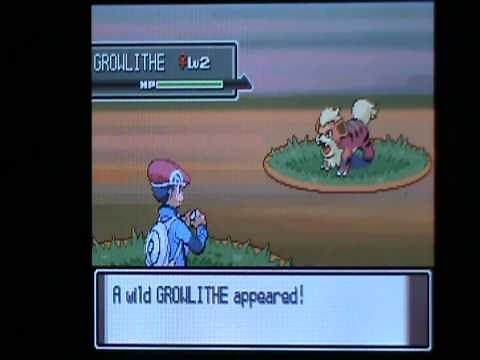 How to catch Growlithe in Pokemon Platinum
