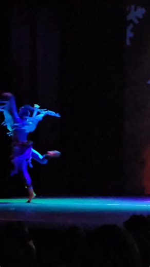 Maximus Turner | Hot Chocolate Nutcracker Maximus edition: Rain Forest BIRD! This was one of Maximus' favorite scenes! He's the only animal onstage most of... | Instagram