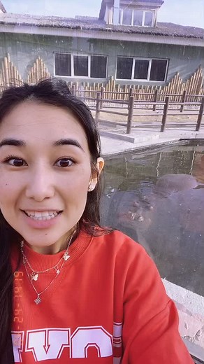 Exploring Wildlife: A Hippo Encounter in the Zoo