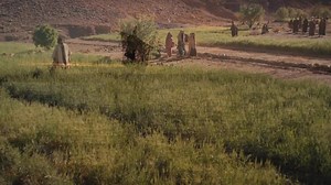 1.8K views · 138 reactions | Mark 6:30-56 | Bible Quotes | Facebook