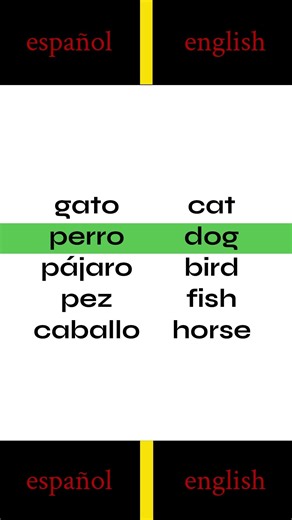 Learn Spanish Animals in 30 Seconds - Easy Spanish Words #shorts