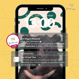 So, are you ready to explore the wild with us? 🦁🐒 Don't forget to join our Zoo Virtual Tour live on TikTok on 23rd and 24th September from 9AM to 12PM. Save the date, invite your friends, and let's make some unforgettable memories at our virtual zoo tour! 🌟🐾 #ForYouMalaysia #TikTokLive #VirtualZooTour #WildAdventure #ZooLive #ZooNegara #zoonegara2023 #ZooNegaraMalaysia | Zoo Negara Malaysia