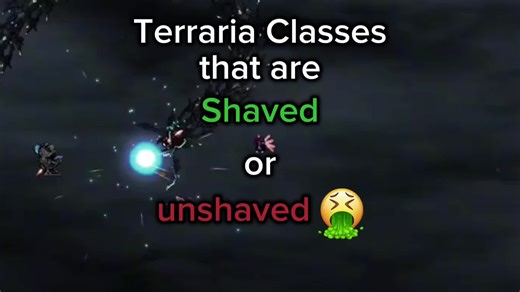 Exploring the Best Terraria Memes