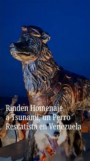 Rinden Homenaje Perro Rescatista en Venezuela con una Estatua