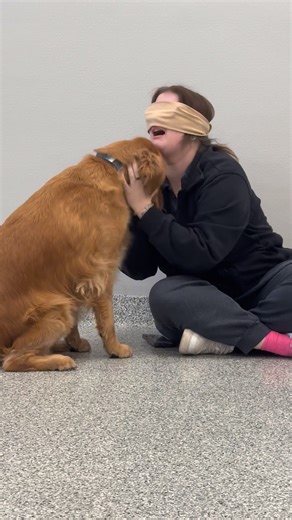 Moss is guessing pups while blindfolded! Watch to see how well she did? | Red Dog Pet Resort & Spa - Springdale