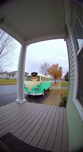 🐱 Cat Driving a Bus?! Funniest Animal Video Ever