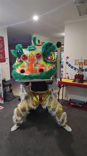 Lion Shows Off Impressive Moves in Training