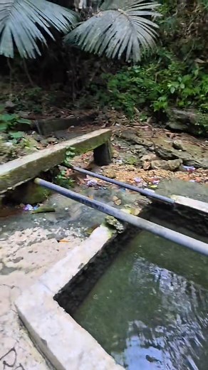 12K views · 295 reactions | Laing tinubdan sa tubig sa Tubod Badian ang gitawag ug Ka Edyokan #watersource #nature #spring | BossIdol Sintoy | Facebook