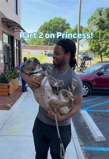 Princess's Recovery Update: Staying Safe with Her Family