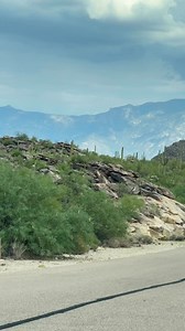 Beautiful Sonoran Desert Landscape in Arizona #fblifestyle #Arizona #tucson | Spotted In Tucson