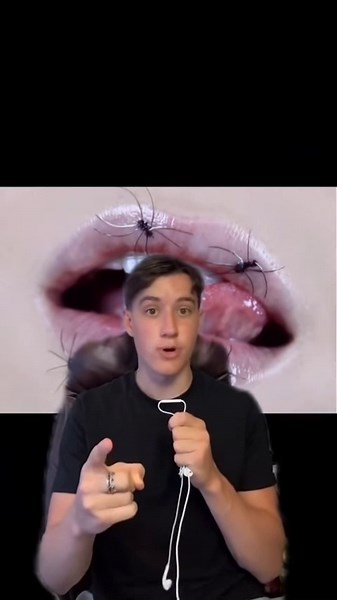 Potential consequences if a spider entered the human body