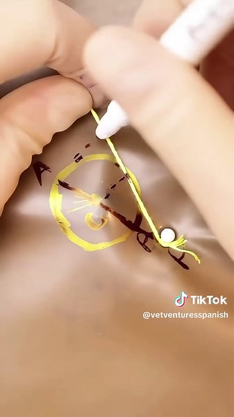 Biogeometría 😷 #técnica #cirujanosoftiktok #veterinaria #medicento #españoltiktok