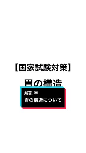 解剖学の復習: 胃の構造について