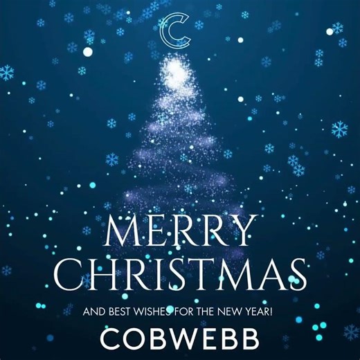 Cobwebb Christmas 2025