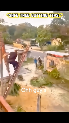 Safe tree cutting tips 🗿