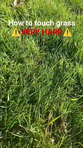 how to touch grass (tutorial)