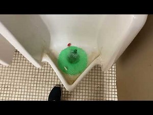 4,096. Mt Morris Truck Stop Men’s Restroom